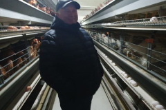 Farm 17