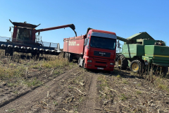 farm-25
